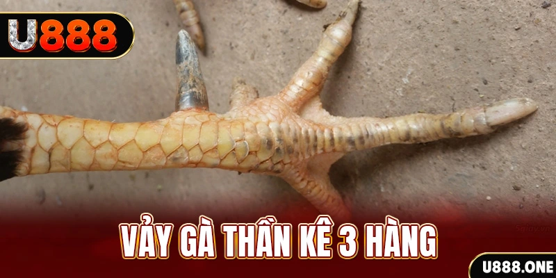 b888 nổ hũ đổi thưởng . ai