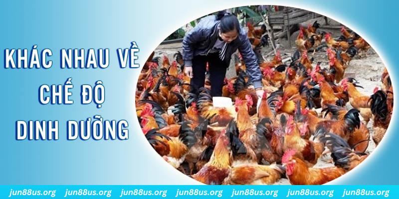 b888 xổ số thứ sáu hàng tuần