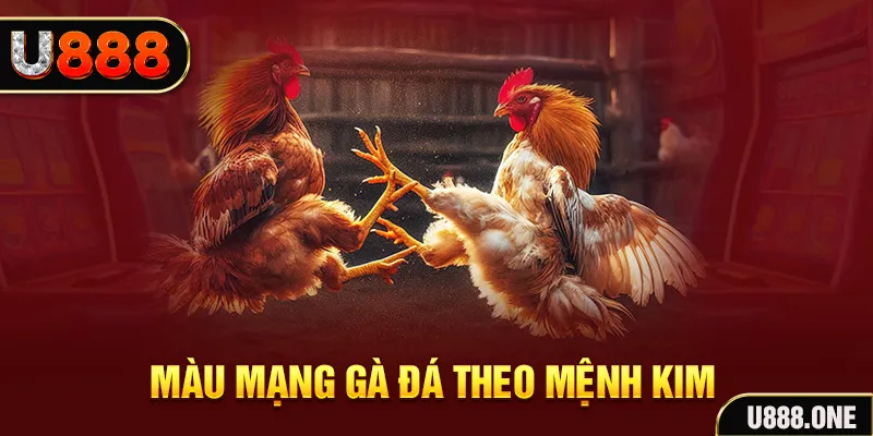 b888 gà chọi tiêu phong