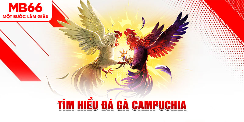 b888 tại sao không tải được nổ hũ