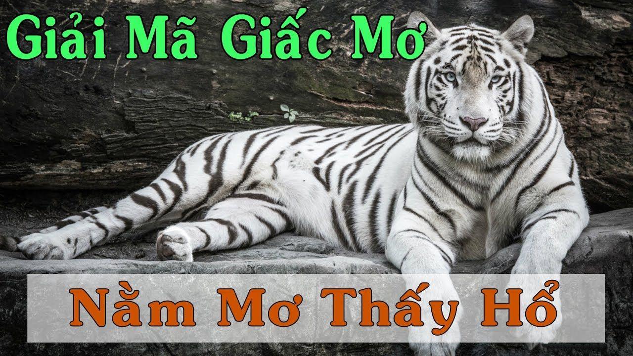 b888 xổ số miền trung