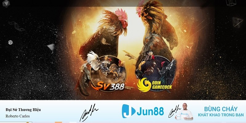 b888 xổ số miền nam hàng tuần