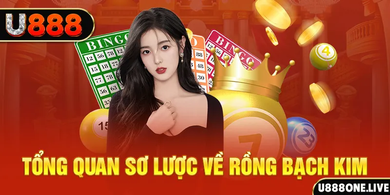 b888 how to win at slot machines
