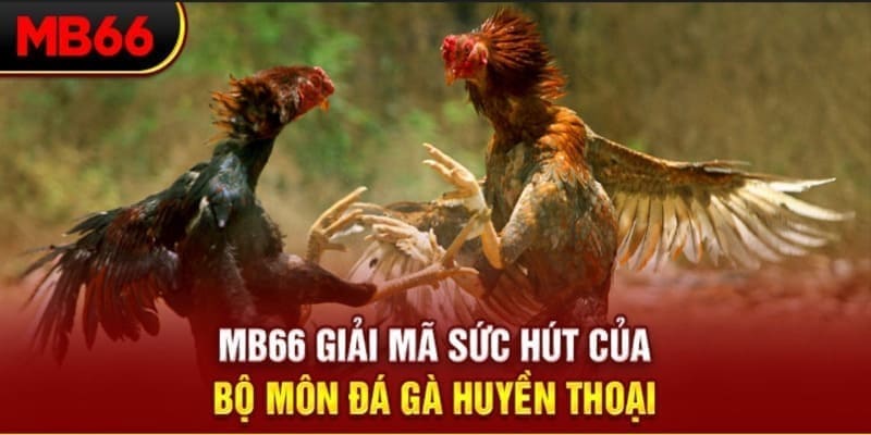b888 long bảo trong baccarat là gì