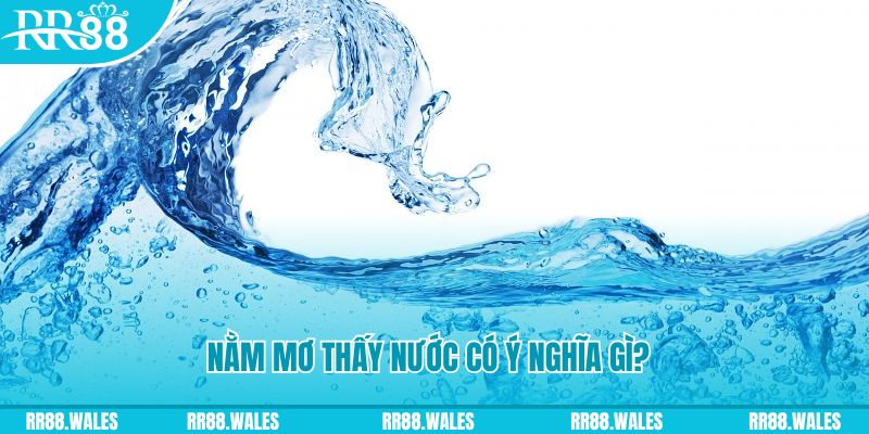 b888 đá gà trực tiếp thomo