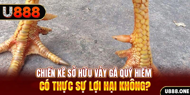 b888 game cá cược máy bay