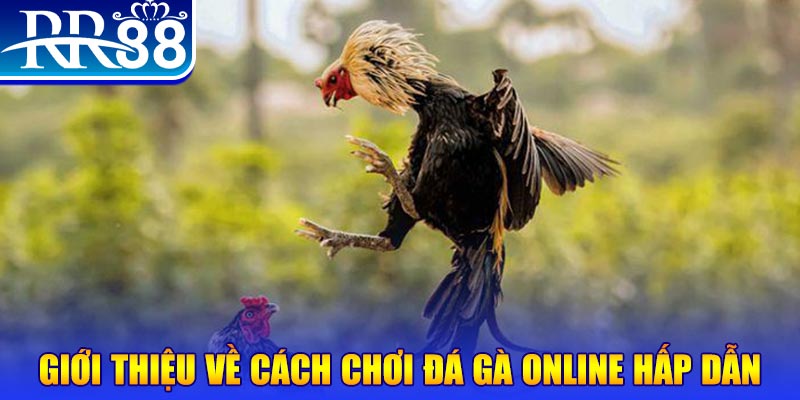 b888 nổ hũ 2 mặt là gì