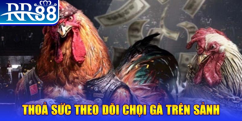 b888 NE Điện Tử