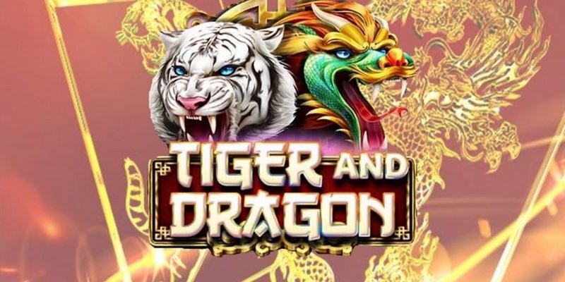 b888 cá cược tiếng anh là gì