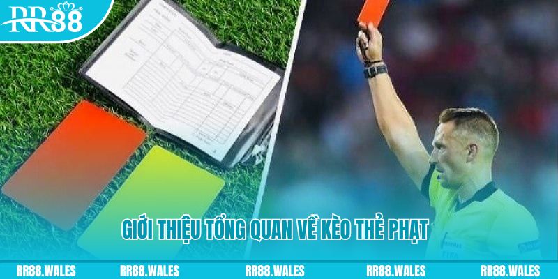 b888 đá gà trực tiếp c1